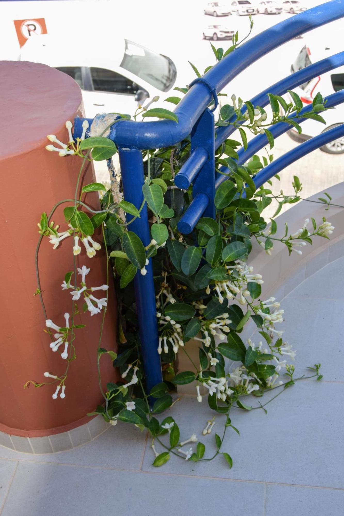 Andy'S Plaza Apartment Agia Pelagia  Luaran gambar